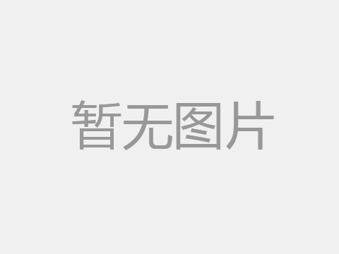 植物基食品加工专用词汇